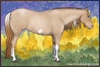 Horse Color:Red Roan Pearl Tobiano Frame