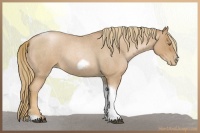 Horse Color:Red Roan Pearl Tobiano Frame 
