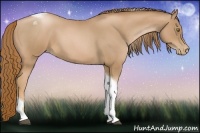 Horse Color:Red Roan Pearl Tobiano Frame 
