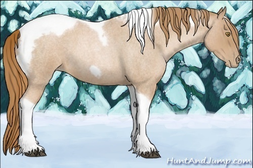 Horse Color:Red Roan Pearl Tobiano Frame