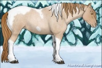 Horse Color:Red Roan Pearl Tobiano Frame
