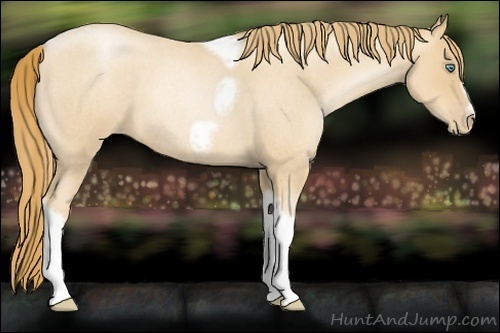 Horse Color:Gold Champagne Roan Pearl Tobiano Frame 