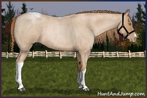 Horse Color:Red Roan Pearl Tobiano Frame 