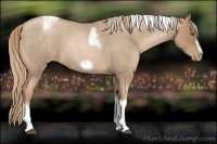 Horse Color:Liver Red Roan Pearl Tobiano Frame