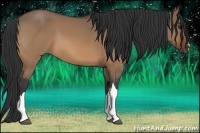 Horse Color:Bay Dun