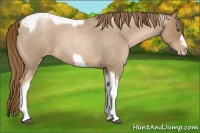 Horse Color:Liver Red Roan Pearl Tobiano Frame