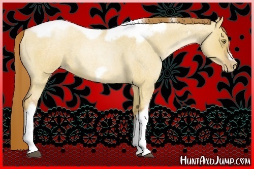Horse Color:Red Dun Roan Pearl Tobiano Frame