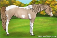 Horse Color:Liver Red Roan Pearl Tobiano Frame