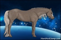 Horse Color:Silver Black 