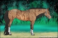 Horse Color:Bay  and Amber Champagne 