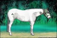 Horse Color:Grullo Sabino Tobiano Rabicano