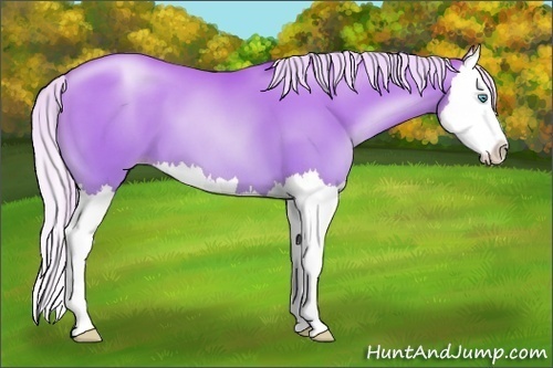 Horse Color:Silver Amber Cream Champagne Pearl Splash 