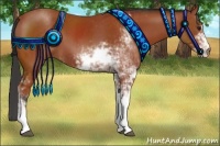 Horse Color:Bay Sabino 