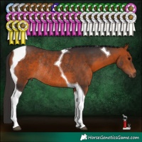 Horse Color:Bay Tobiano Rabicano 