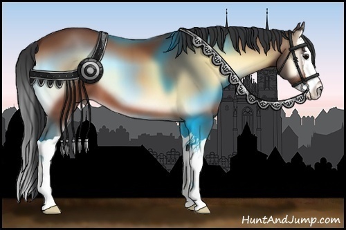 Horse Color:Bay Onyx Splash 