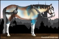 Horse Color:Bay Onyx Splash