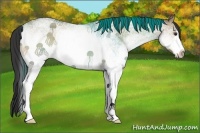 Horse Color:White Spotted Buckskin Roan Dun 