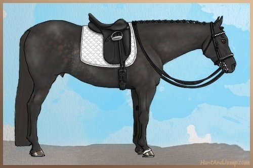 Horse Color:Liver Chestnut Rabicano 