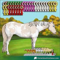 Horse Color:White Spotted Smoky Creme 
