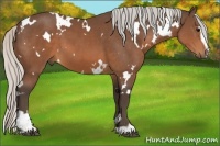 Horse Color:White Spotted Silver Brown Sabino