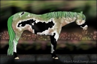 Horse Color:Watercolor Bay Sabino Frame Snowflake Varnish 