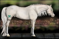 Horse Color:Silver Buckskin Roan Pearl 