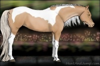 Horse Color:Silver Brown Pearl Tobiano 
