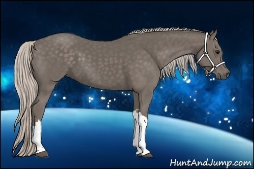 Horse Color:Silver Black 