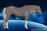 Horse Color:Silver Black 