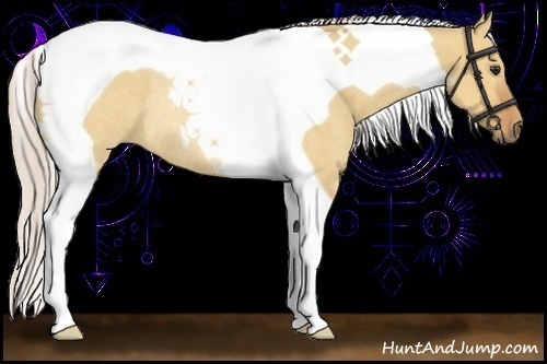 Horse Color:Silver Bay Dun Tobiano Rabicano 