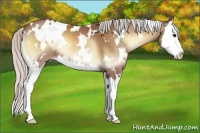 Horse Color:White Spotted Silver Buckskin Onyx Splash