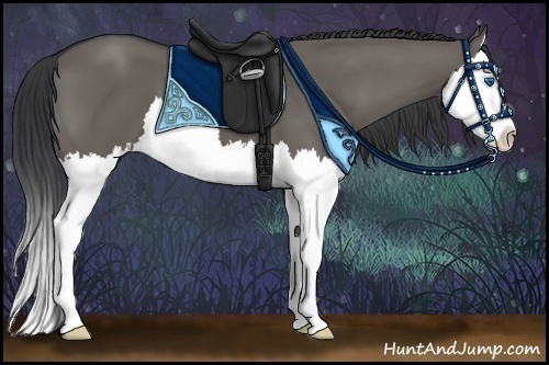 Horse Color:Grullo Sabino Splash