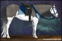 Horse Color:Grullo Sabino Splash 