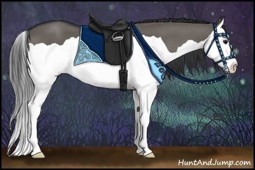 Horse Color:Grullo Splash 