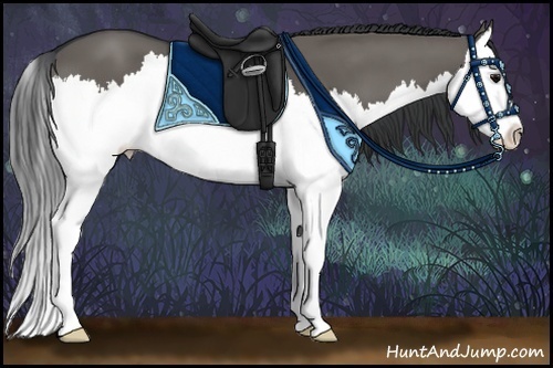 Horse Color:Grullo Splash 