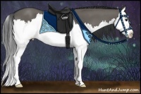 Horse Color:Grullo Splash 