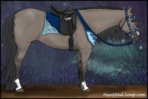 Horse Color:Grullo Sabino 