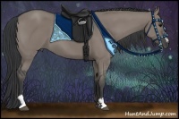 Horse Color:Grullo Sabino 