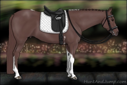 Horse Color:Chocolate Smoky Black Tobiano 