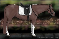 Horse Color:Chocolate Smoky Black Tobiano 