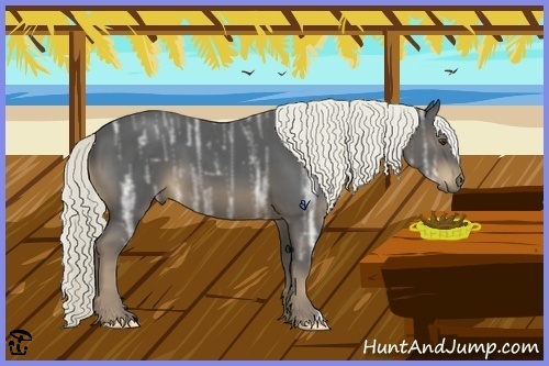 Horse Color:Liver Chestnut Ice 