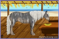 Horse Color:Liver Chestnut Ice 