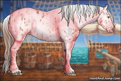 Horse Color:Sable Champagne Leopard and Amber Champagne Leopard
