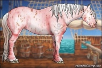 Horse Color:Sable Champagne Leopard  and Amber Champagne Leopard 