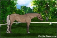 Horse Color:Silver Brown Dun