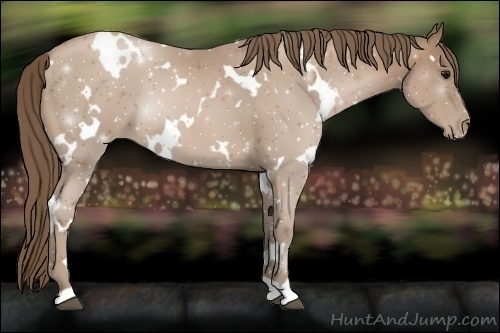 Horse Color:White Spotted Black Pearl 