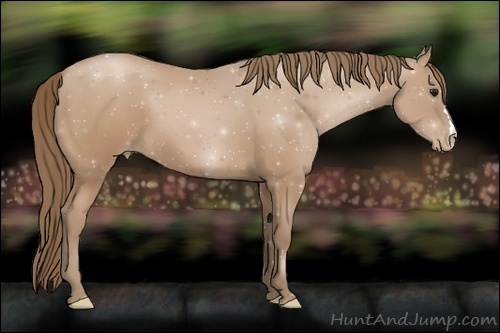 Horse Color:Black Pearl 