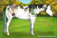 Horse Color:White Spotted Bay Ice Onyx Splash