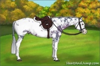 Horse Color:Watercolor Liver Chestnut Sabino 