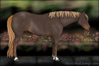 Horse Color:Liver Chestnut Rabicano